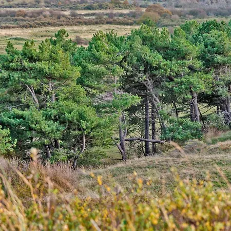 Hotelhuisje #c Vakantiehuis *