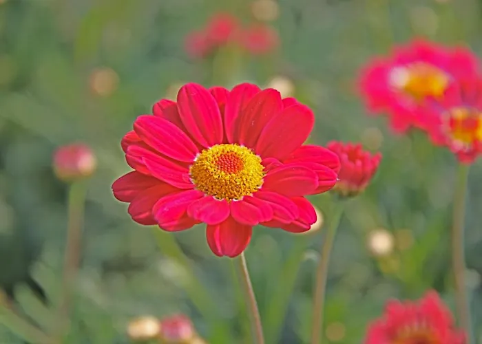 Hotelhuisje #c Дом отдыха