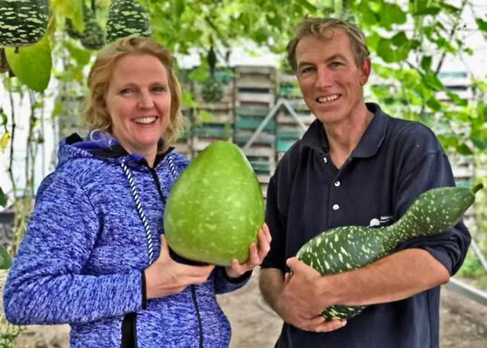 Дом отдыха Hotelhuisje #c *