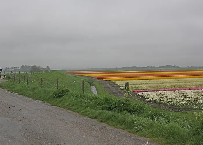 Hotelhuisje #c Дом отдыха Варменхёйзен