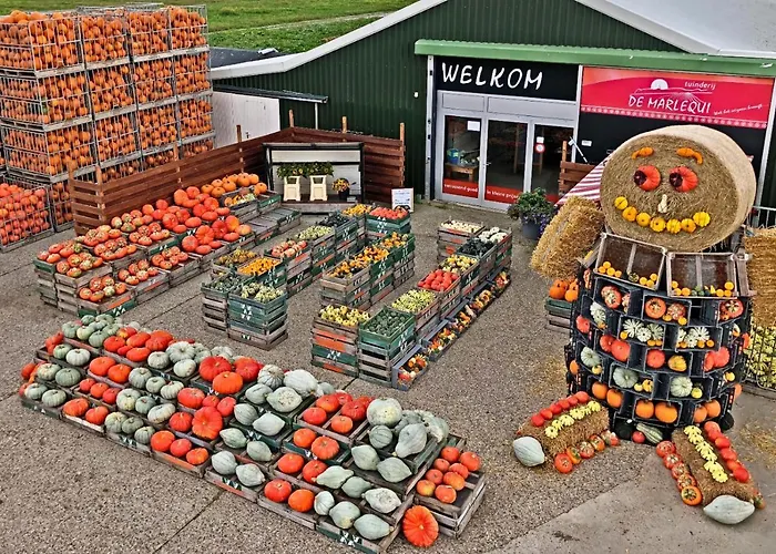 Hotelhuisje #c Дом отдыха