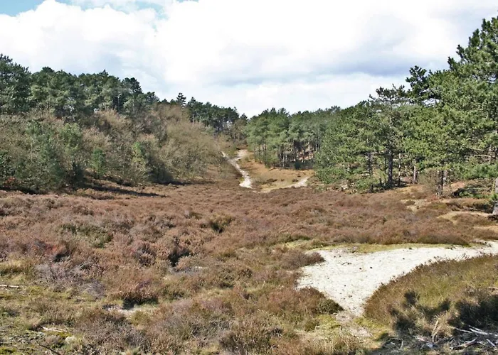 Hotelhuisje #c Дом отдыха *