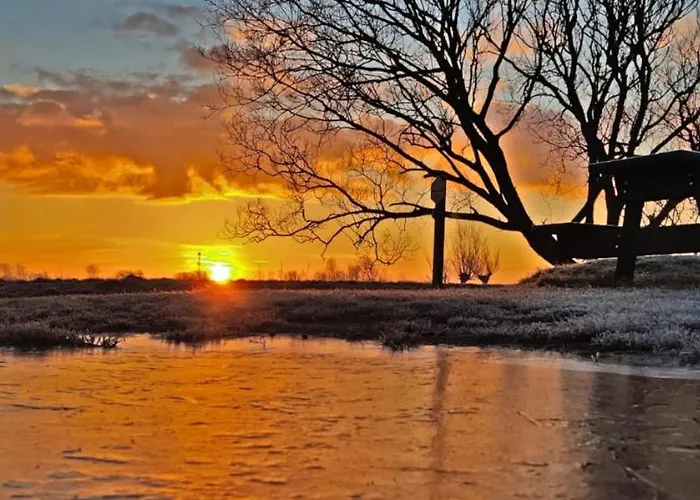 Hotelhuisje #c Дом отдыха *