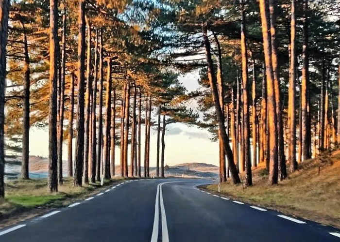 Hotelhuisje #c Дом отдыха *