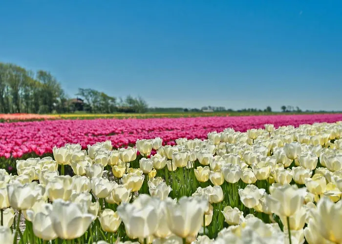 Hotelhuisje #c * Варменхёйзен